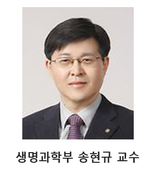 송현규 교수님